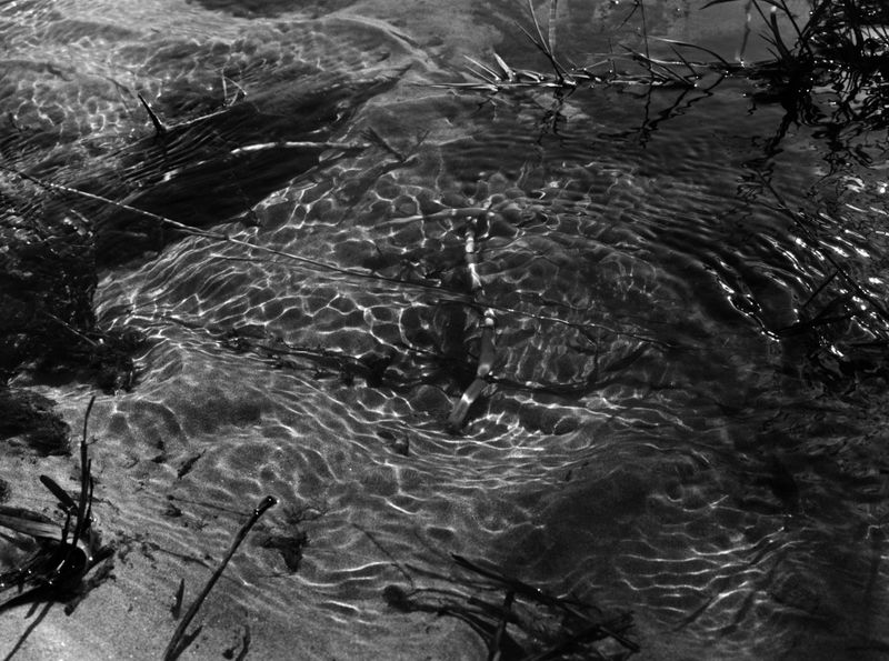 © Rosie Dale - Image from the Ad Astra photography project