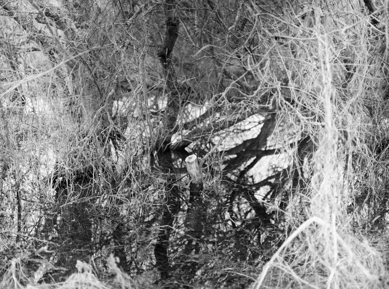 © Rosie Dale - Image from the Ad Astra photography project