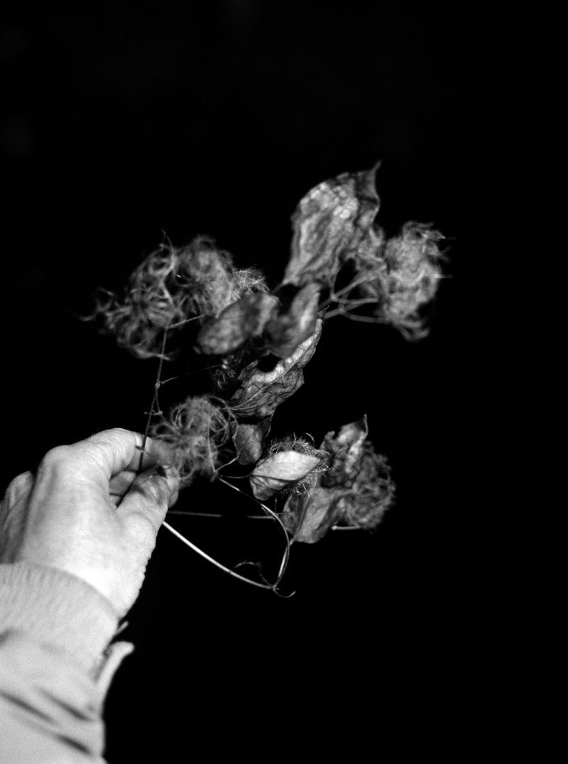 © Rosie Dale - Image from the Ad Astra photography project