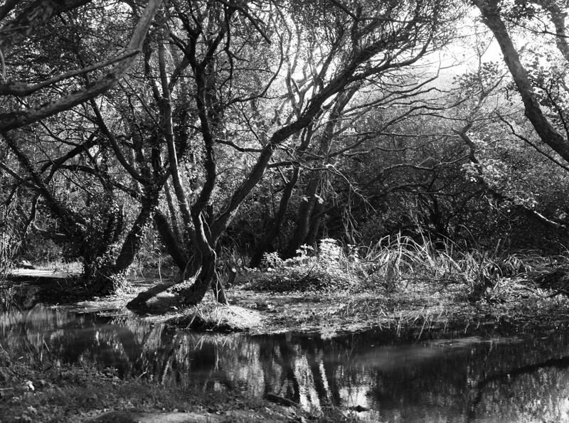 © Rosie Dale - Image from the Ad Astra photography project