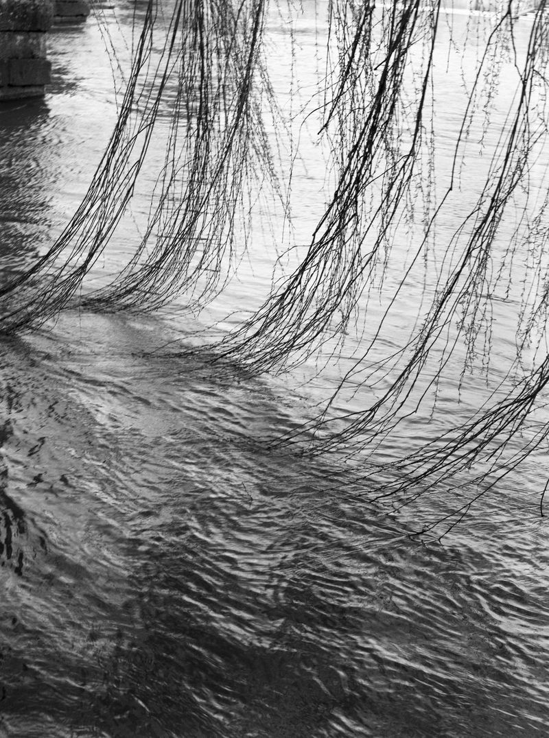 © Rosie Dale - Image from the Ad Astra photography project