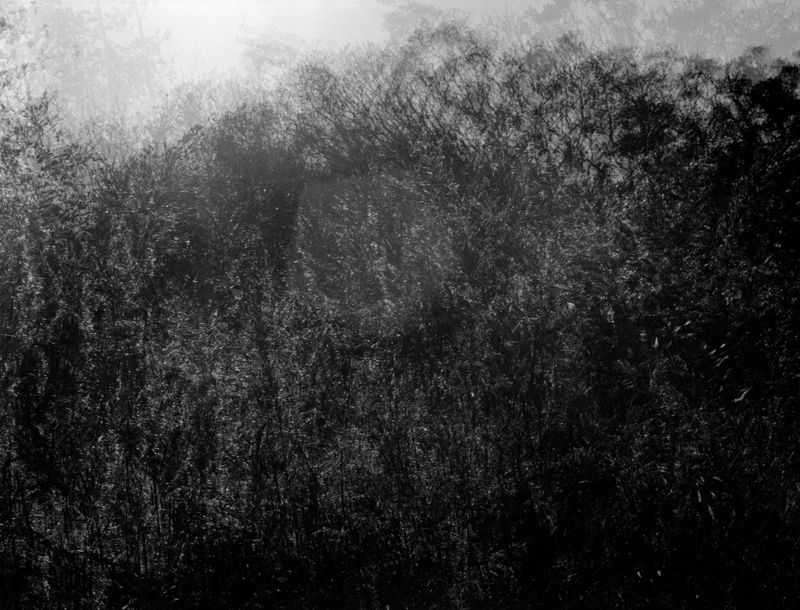 © Rosie Dale - Image from the Ad Astra photography project