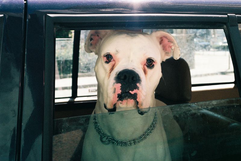 © Raquel Gandra - Image from the Familiar Outsider photography project