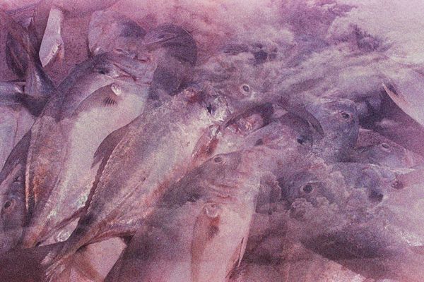 © Raquel Gandra - Image from the Weaves & Mazes photography project