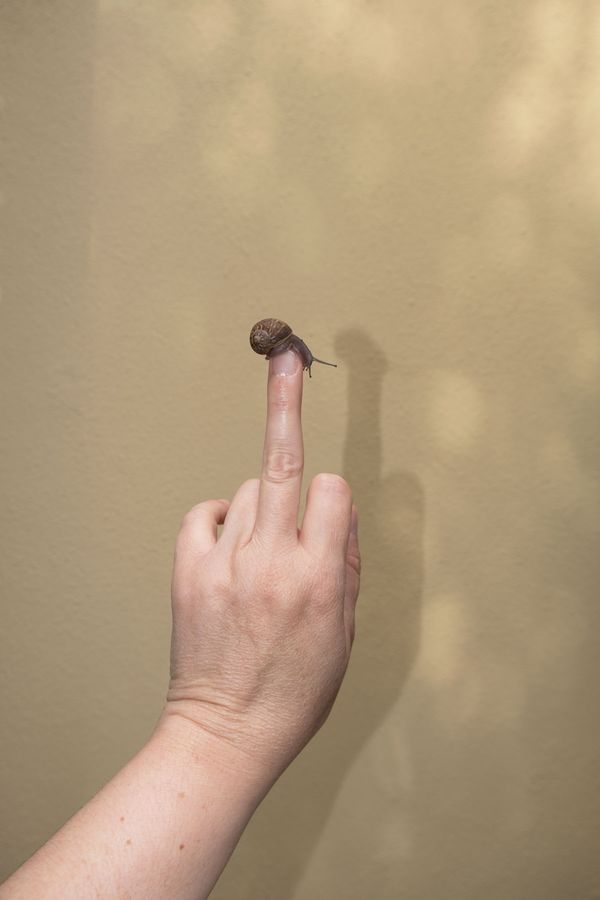 Image from a project on PhMuseum