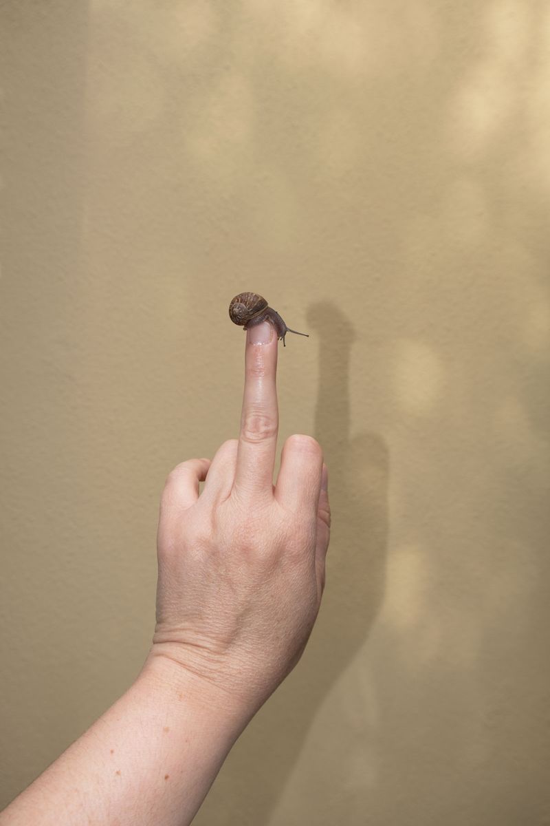Image from a project on PhMuseum