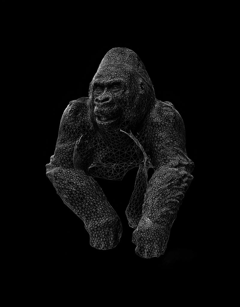 © Gareth Ioan Davies - Image from the FAKE BIRD CLOWN photography project