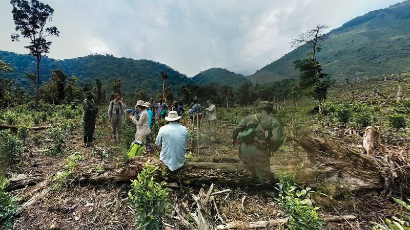 © Gareth Ioan Davies - Image from the FAKE BIRD CLOWN photography project