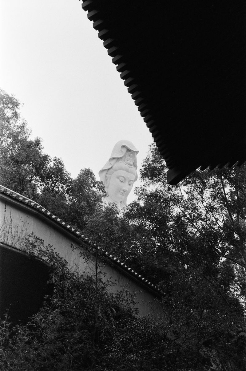 © Jimi Tsang - Image from the Hong Kong Garden photography project