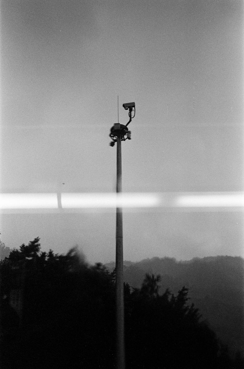 © Jimi Tsang - Image from the Hong Kong Garden photography project