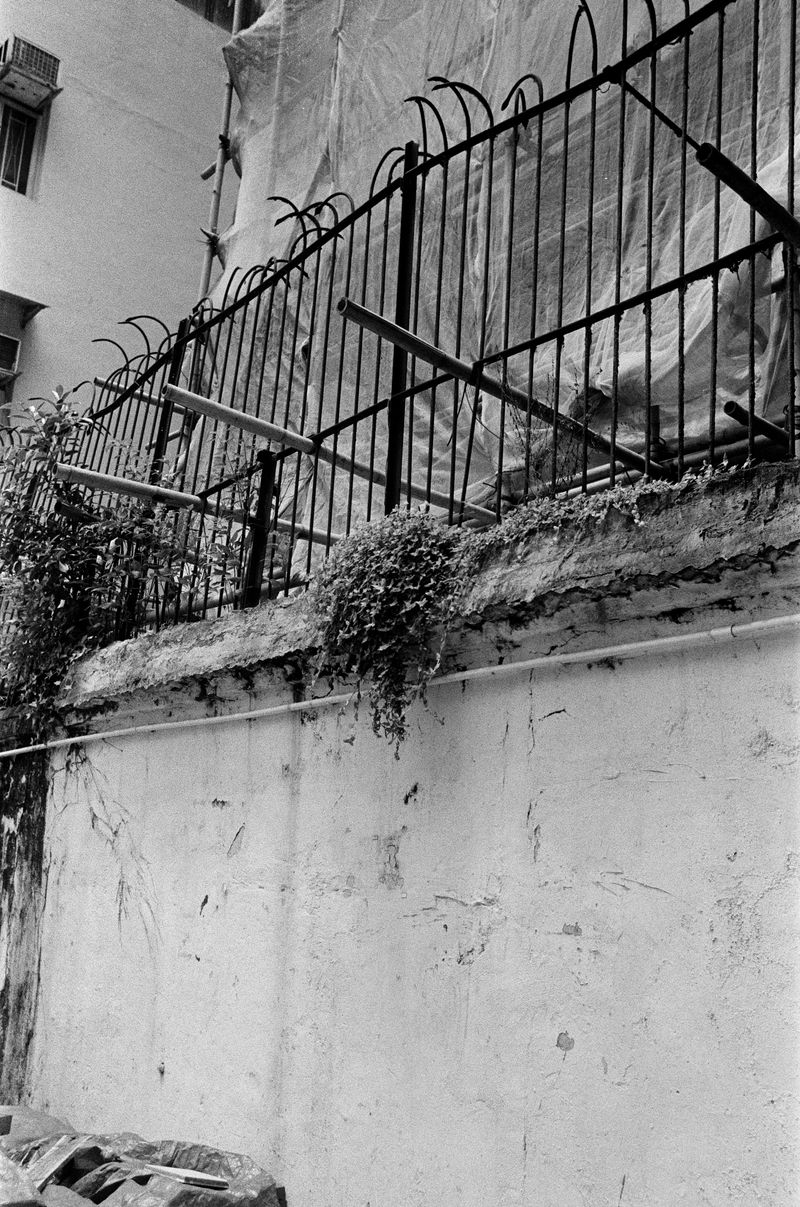 © Jimi Tsang - Image from the Hong Kong Garden photography project