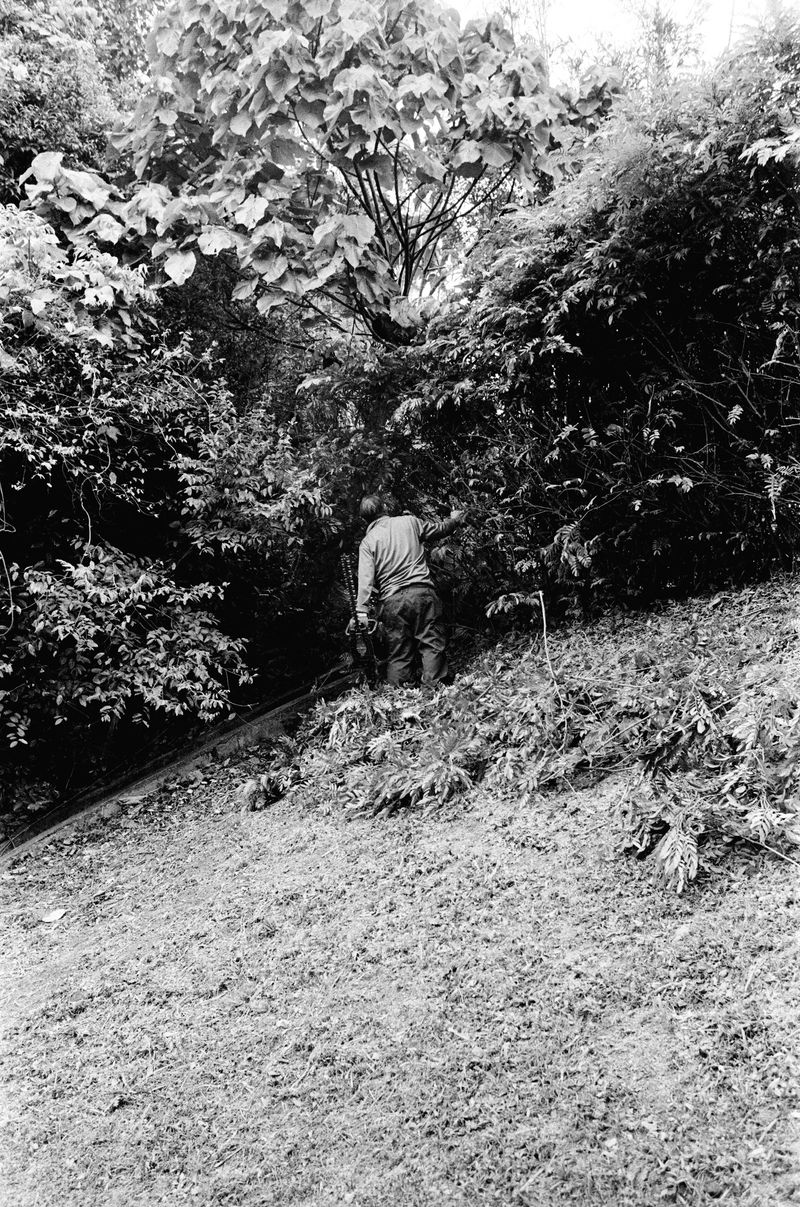 © Jimi Tsang - Image from the Hong Kong Garden photography project