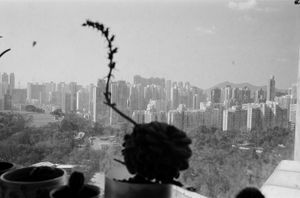 Hong Kong Garden