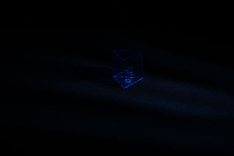 © Tamara Áurea Pazos Campos - Will Mary learn something new when she sees the color blue for the first time?, 2024