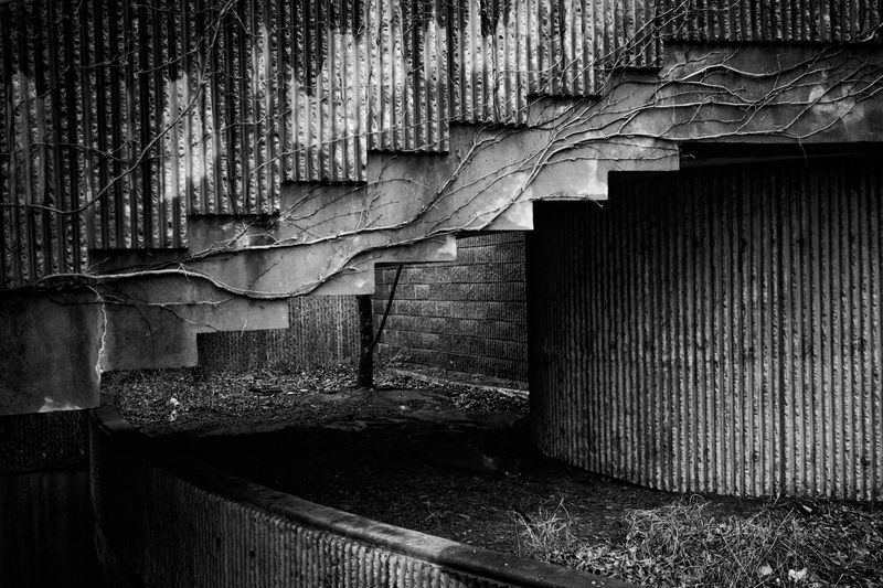 © David Horton - Image from the The Lindemann Center photography project