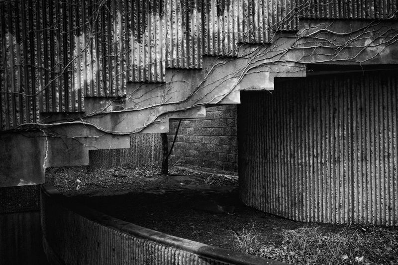 © David Horton - Image from the The Lindemann Center photography project