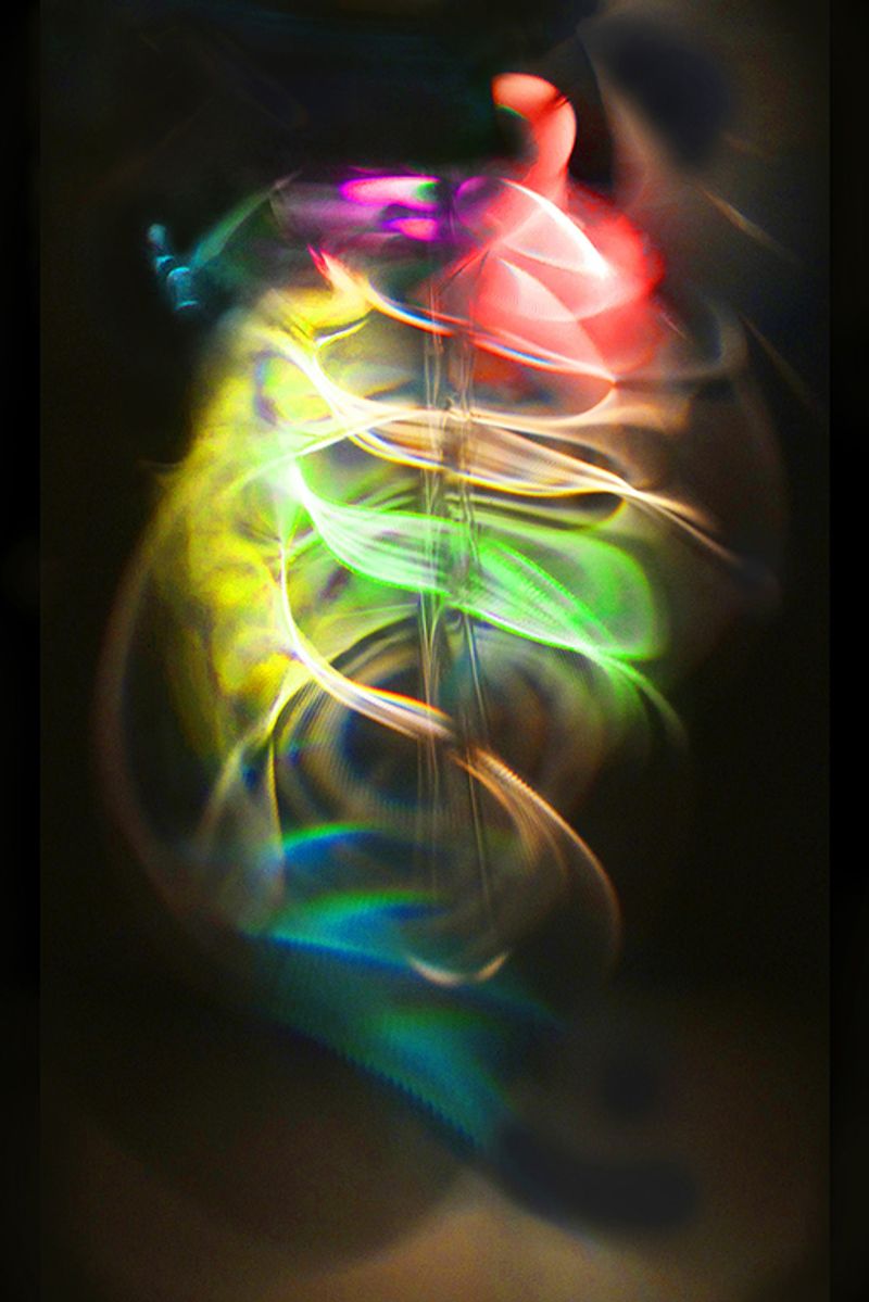 © Gary Justis - Vasculum