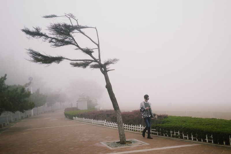 © Mankichi Shinshi - Image from the Full of Null photography project