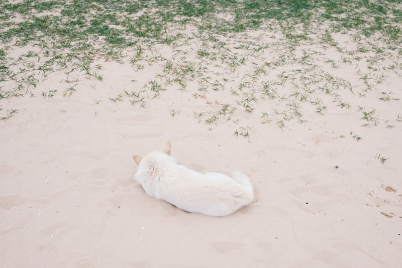 © Mankichi Shinshi - Image from the Full of Null photography project