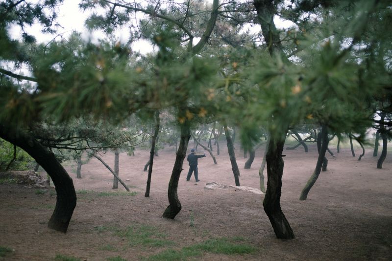 © Mankichi Shinshi - Image from the Full of Null photography project