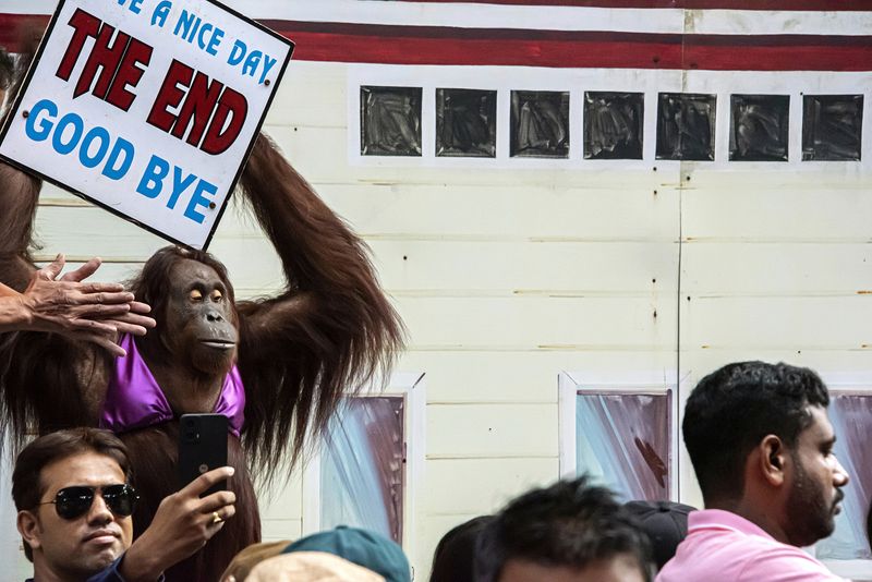 © Sandra Hoyn - Orangutan dressed in human clothes with a farewell sign, Safari World Bangkok.