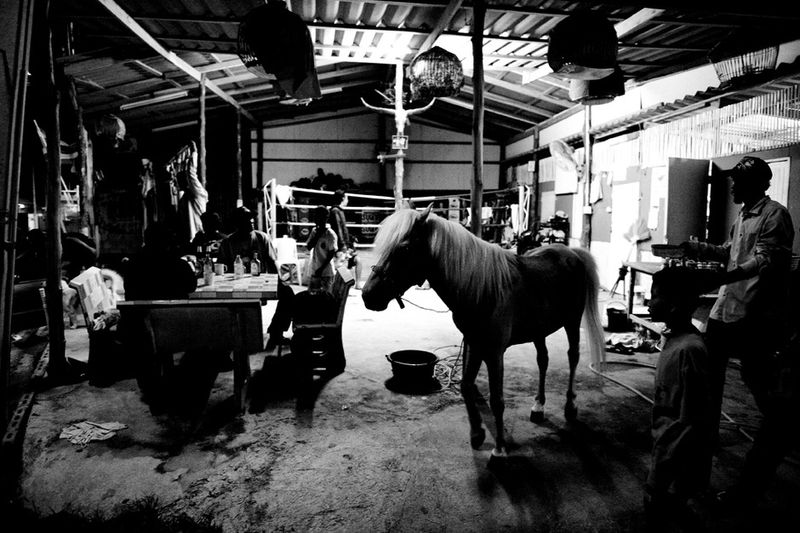 © Sandra Hoyn - Image from the Fighting Kids photography project