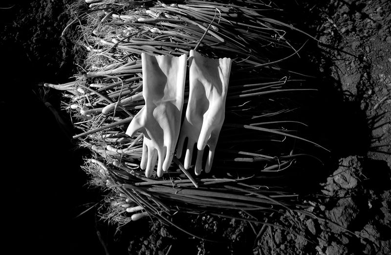 © Brandon Thibodeaux - Image from the Cuando Estoy Aqui photography project