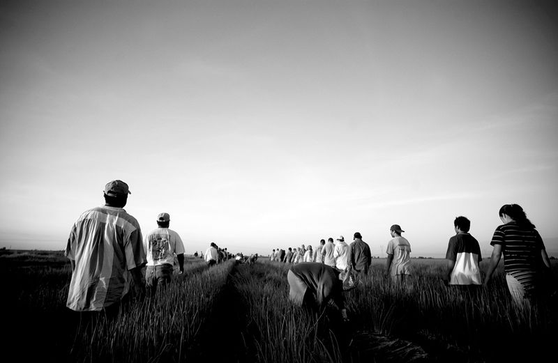 © Brandon Thibodeaux - Image from the Cuando Estoy Aqui photography project