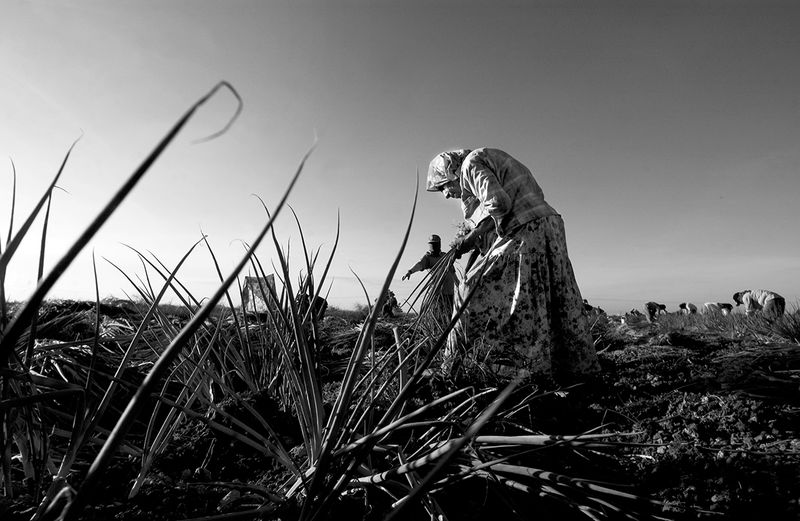 © Brandon Thibodeaux - Image from the Cuando Estoy Aqui photography project