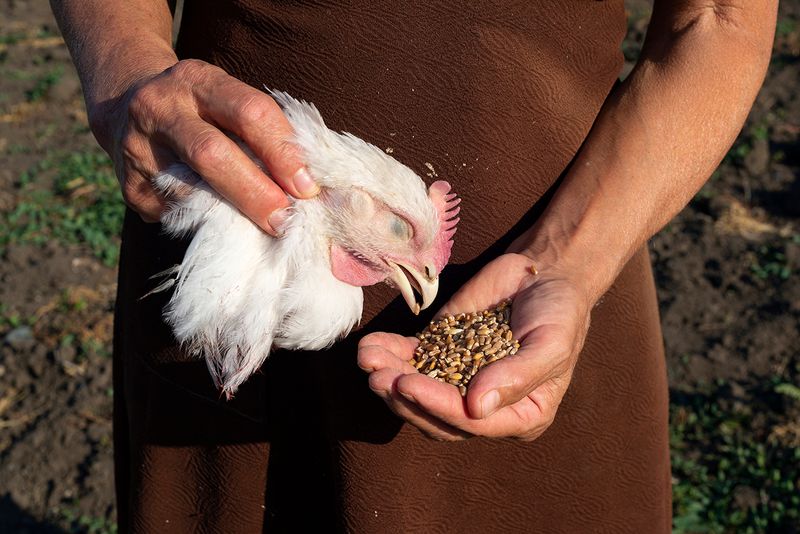 © Mariia Kokunova - Great concern