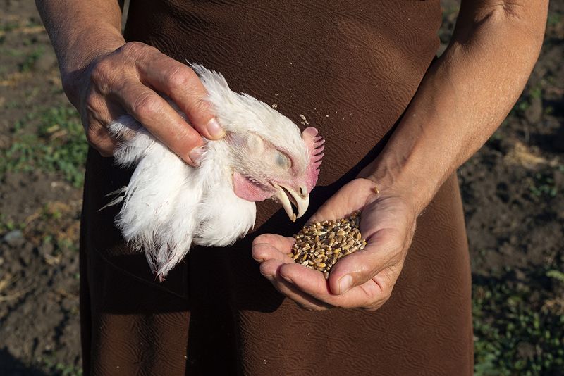 © Mariia Kokunova - Great concern