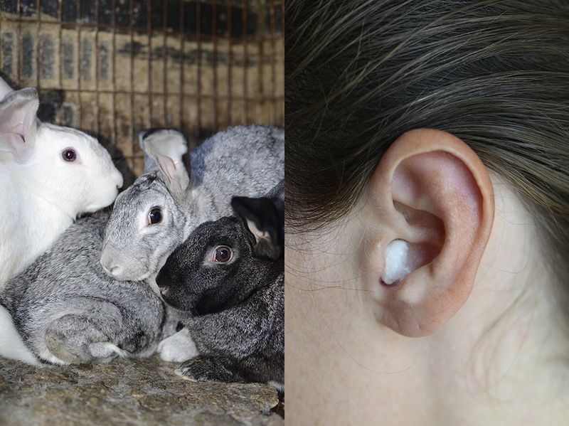 © Mariia Kokunova - Silence