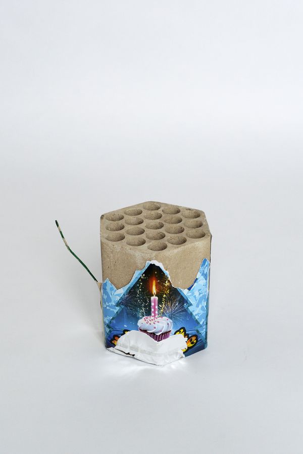 © Mariia Kokunova - The rejoicing