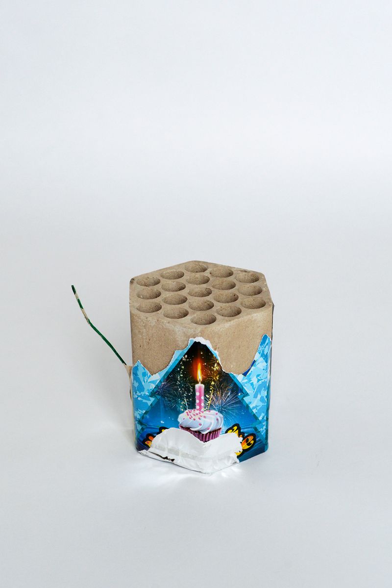 © Mariia Kokunova - The rejoicing