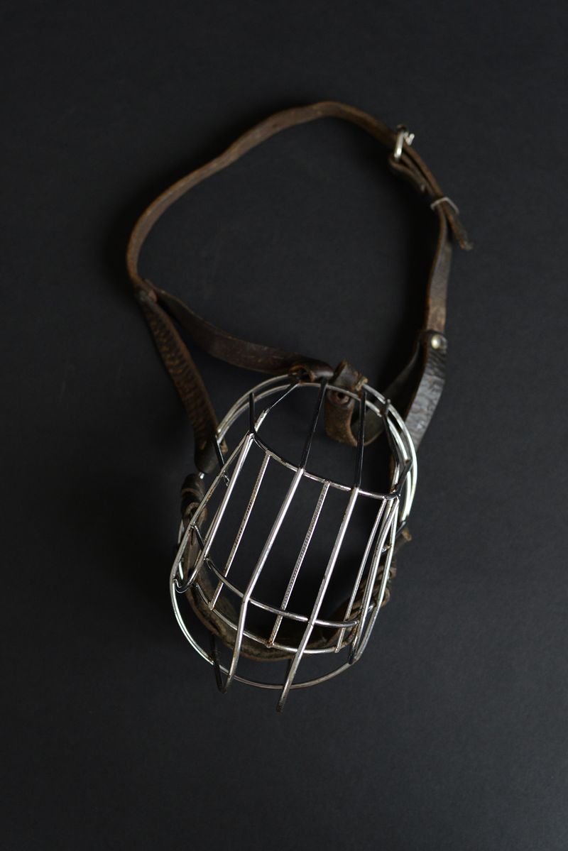 © Mariia Kokunova - Clamped down