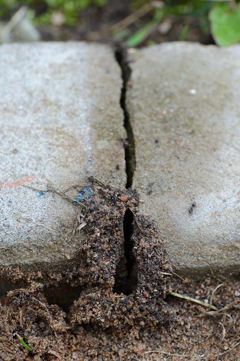 © Mariia Kokunova - Image from the ERROR (collaboration with artist and programmer Yuri Pavlov, web-desiner Sergey Sergienko and model Liliya Charras) photography project