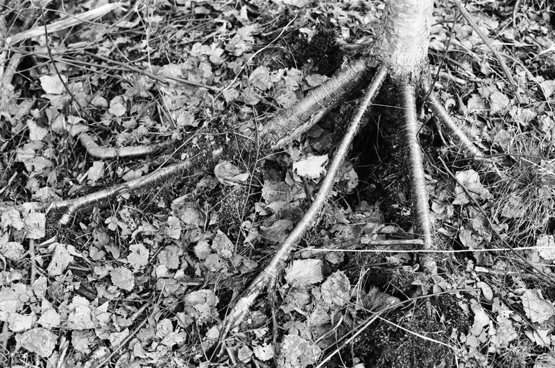 © Mariia Kokunova - Image from the Voidness photography project