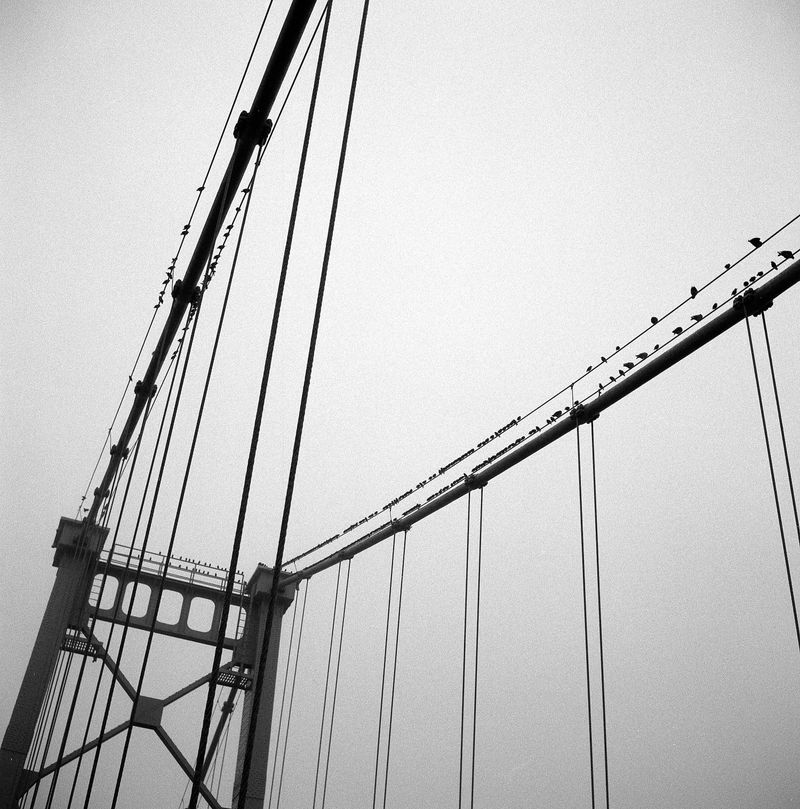 © Rob Perez - Image from the In the Valley photography project