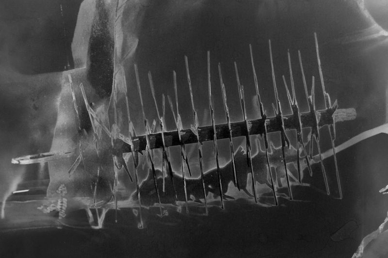 © Lucas Leffler - Image from the Bleached Moments photography project