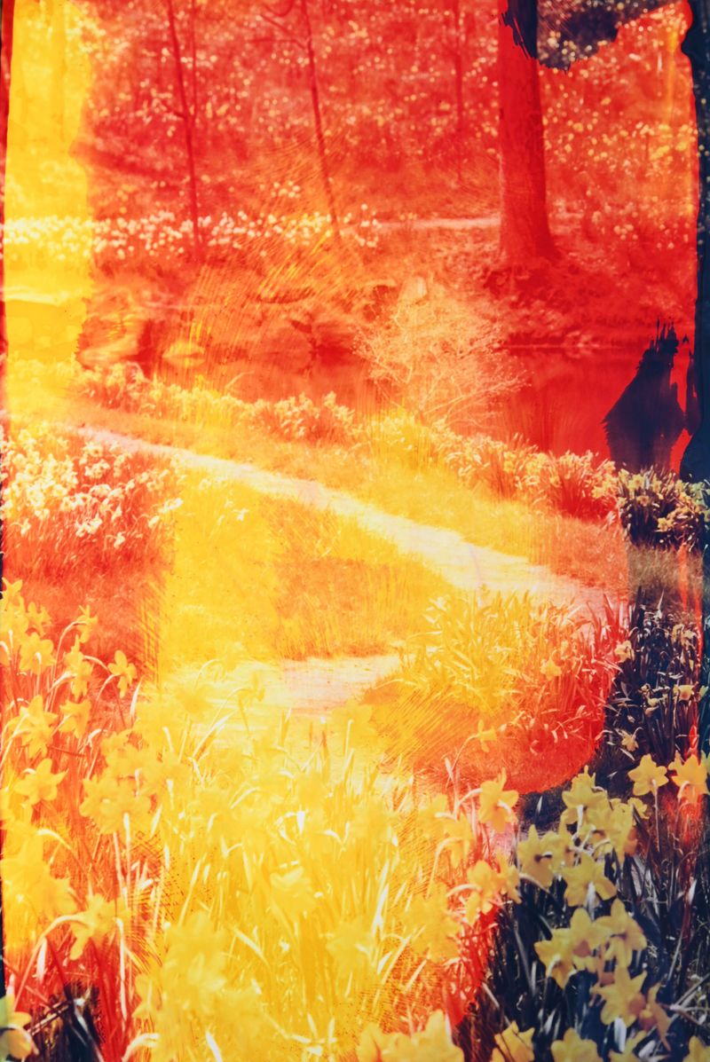 © Lucas Leffler - Moment #13