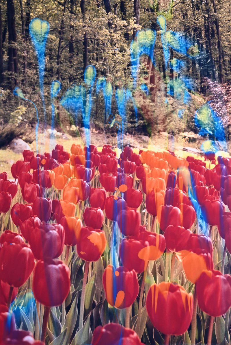 © Lucas Leffler - Moment #44