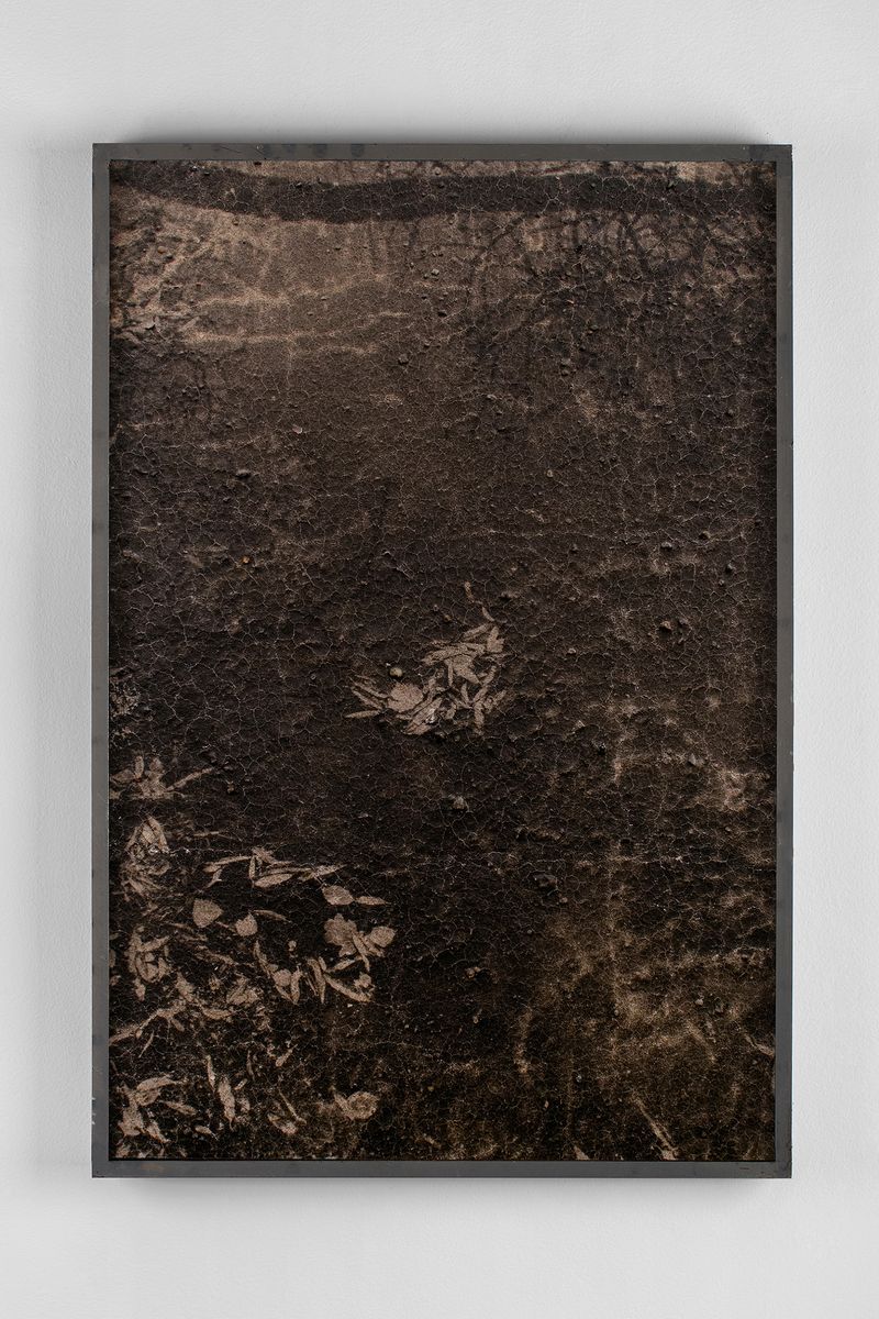 © Lucas Leffler - Mudprint #17 - Silver-gelatine print made with a mixture of mud.