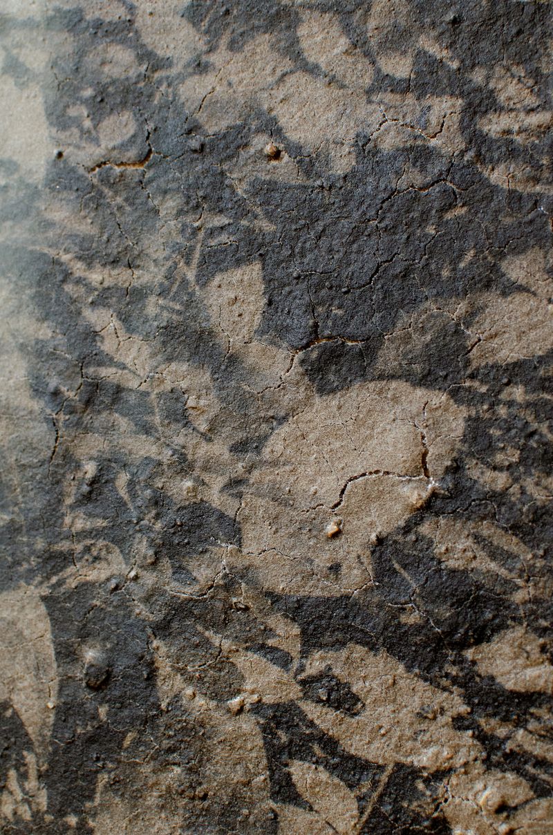 © Lucas Leffler - detail Mudprint #07