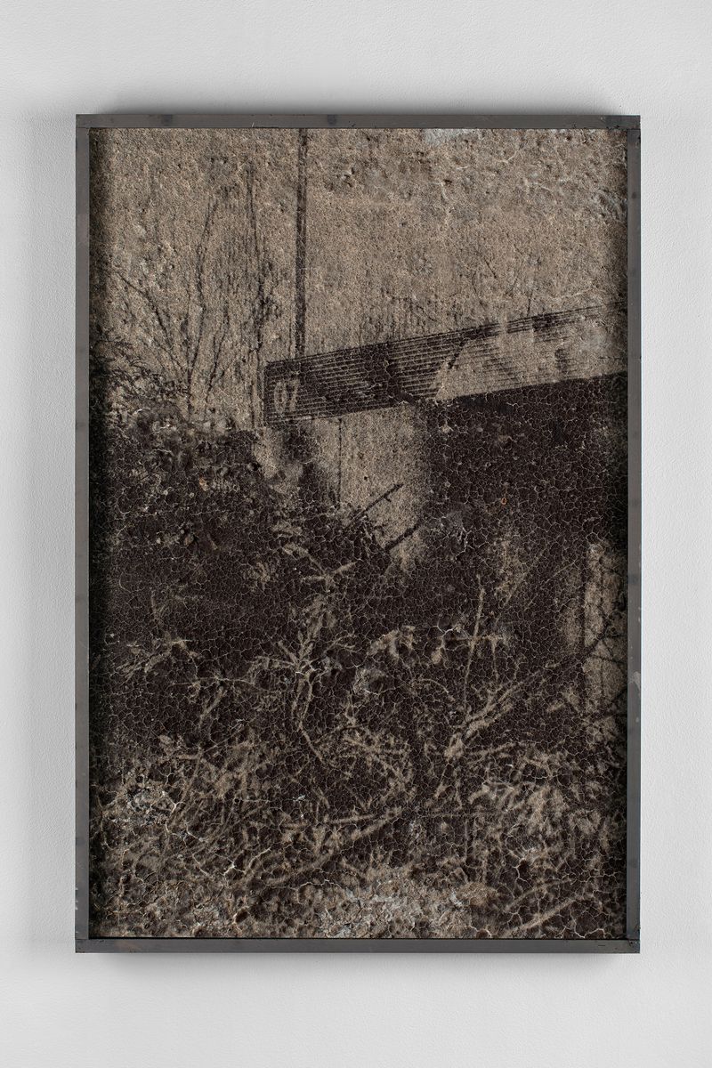 © Lucas Leffler - Mudprint #18 - Silver-gelatine print made with a mixture of mud.