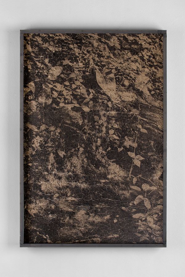 © Lucas Leffler - Mudprint #07 - Silver-gelatine print made with a mixture of mud.