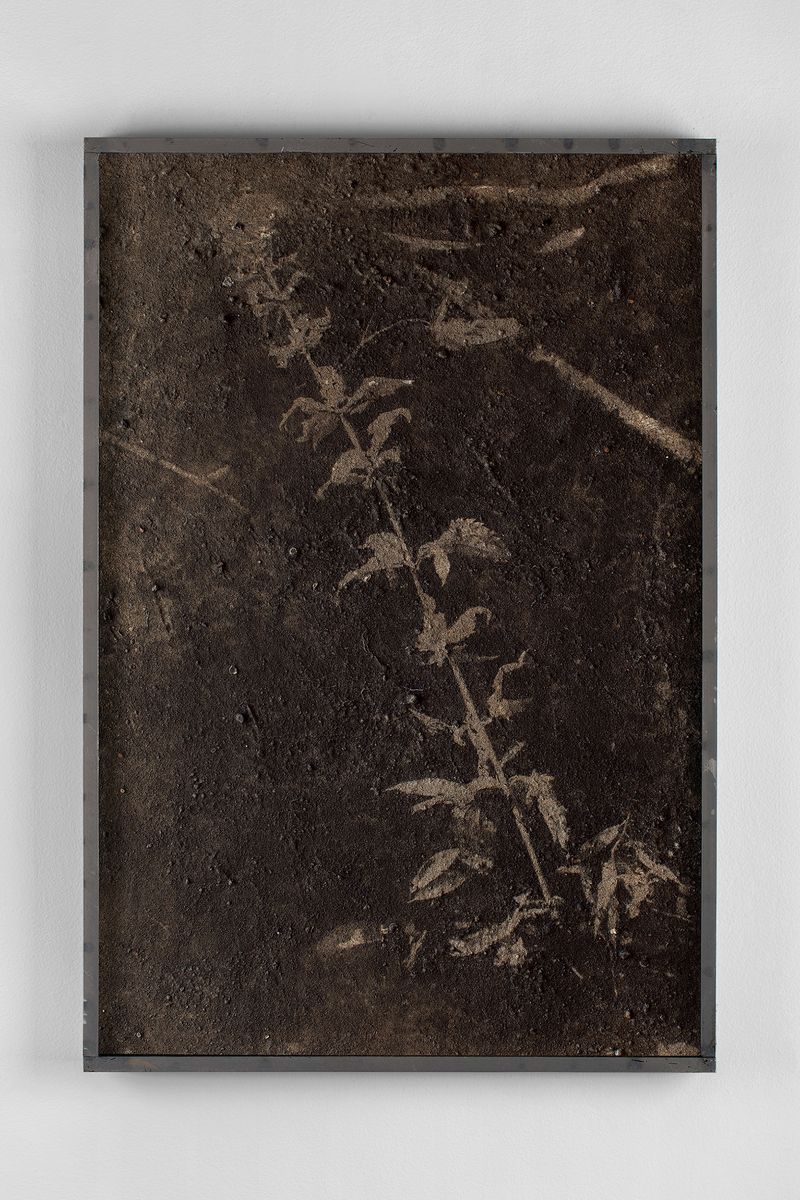 © Lucas Leffler - Mudprint #09 - Silver-gelatine print made with a mixture of mud.