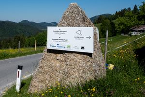 Force of the Elements