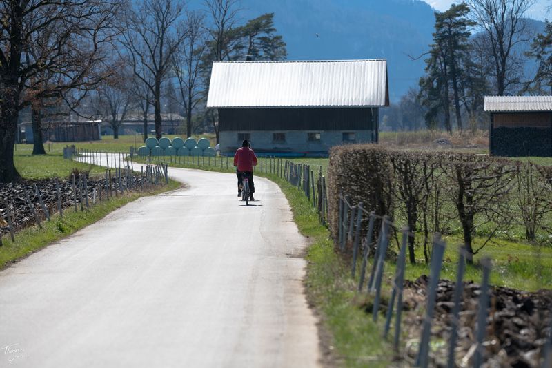 © Thomas Gutschi - Image from the Covid-19 Pictures, no words needed photography project