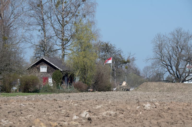 © Thomas Gutschi - Image from the Covid-19 Pictures, no words needed photography project