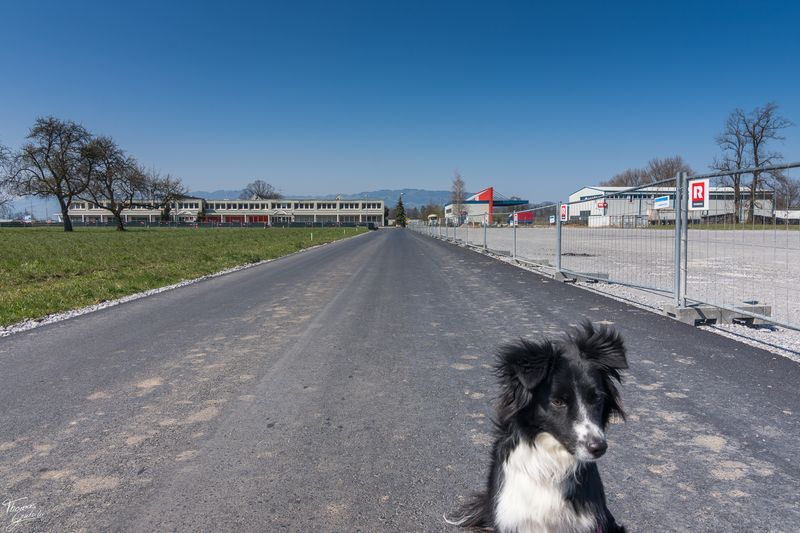 © Thomas Gutschi - Image from the Covid-19 Pictures, no words needed photography project